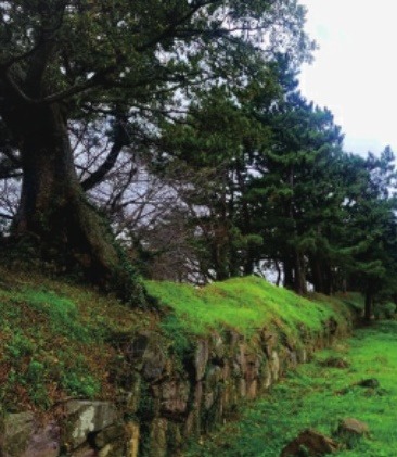 법성진성 북쪽 성벽.jpg