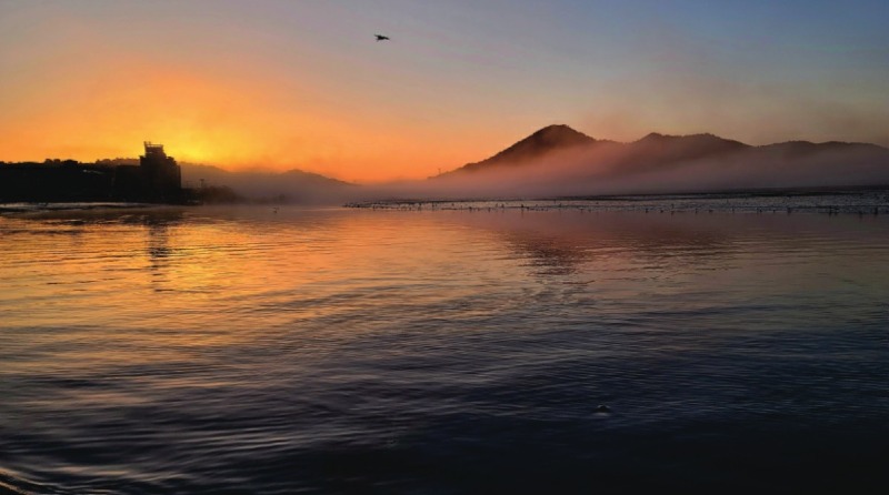 소동정의 여명-1.jpg