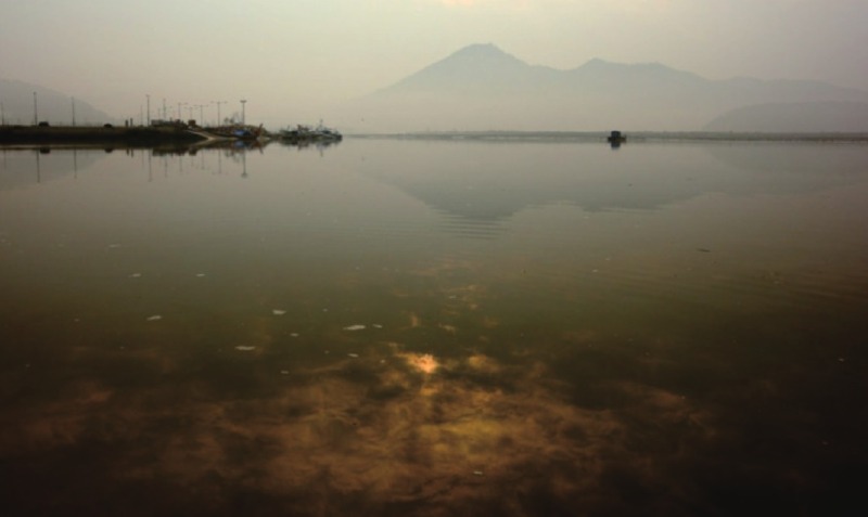 소동정의 여명-2.jpg