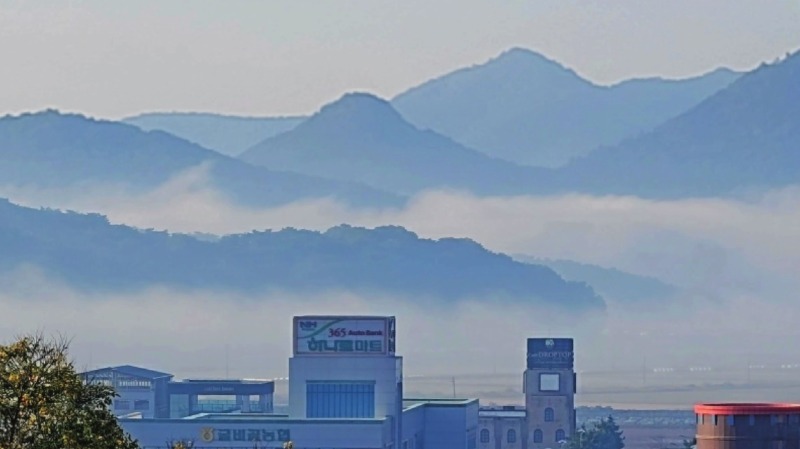 옥녀봉의 아침 안개-1.jpg