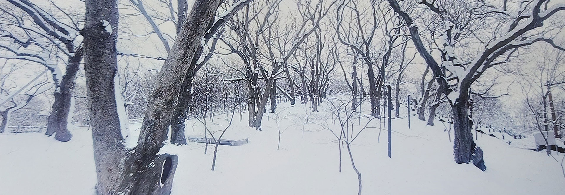 슬라이드이미지3