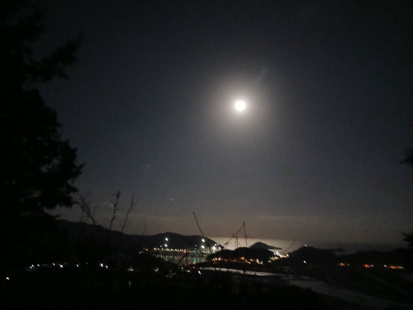 미리보기 이미지