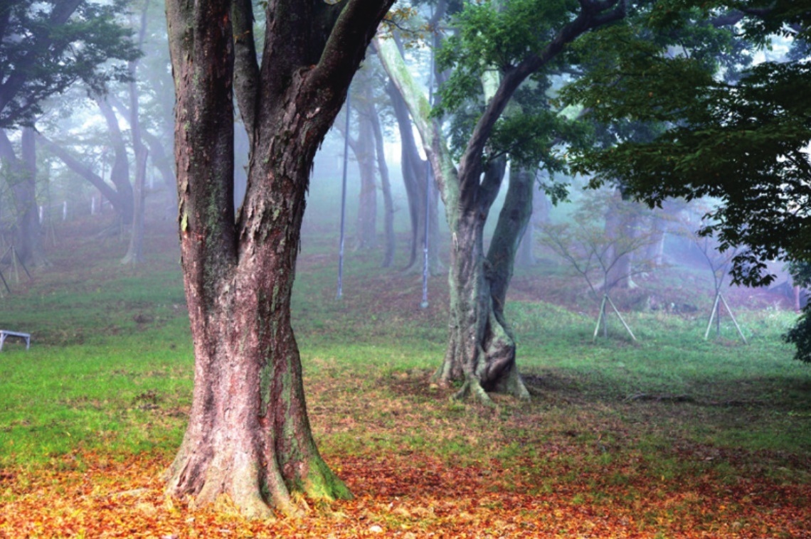 미리보기 이미지